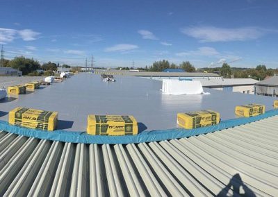 Hala Haberkorn Č.Budějovice 2021