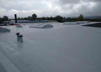 Hala Jikov Green Homole Č.Budějovice 2022